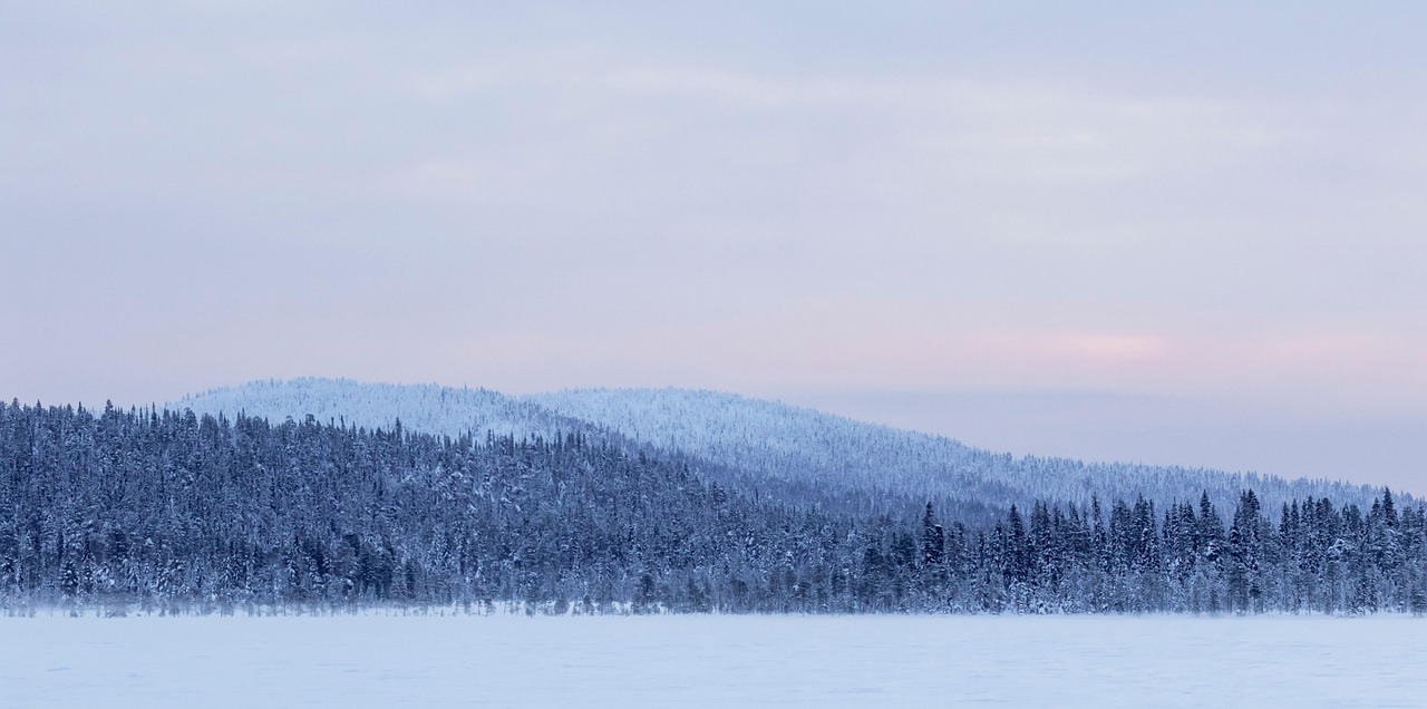Lumipeitteinen havumetsä ja matalat vaarat jäätyneen järven takana, taustalla vaalea talvitaivas.