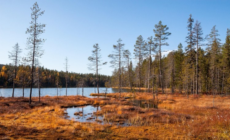 Rajatarina: Unohtumaton rajapartio vuonna 1968 – ”Tätäkö hetkeä varten olen täällä, tähänkö elämäni&nbsp;päättyy?”